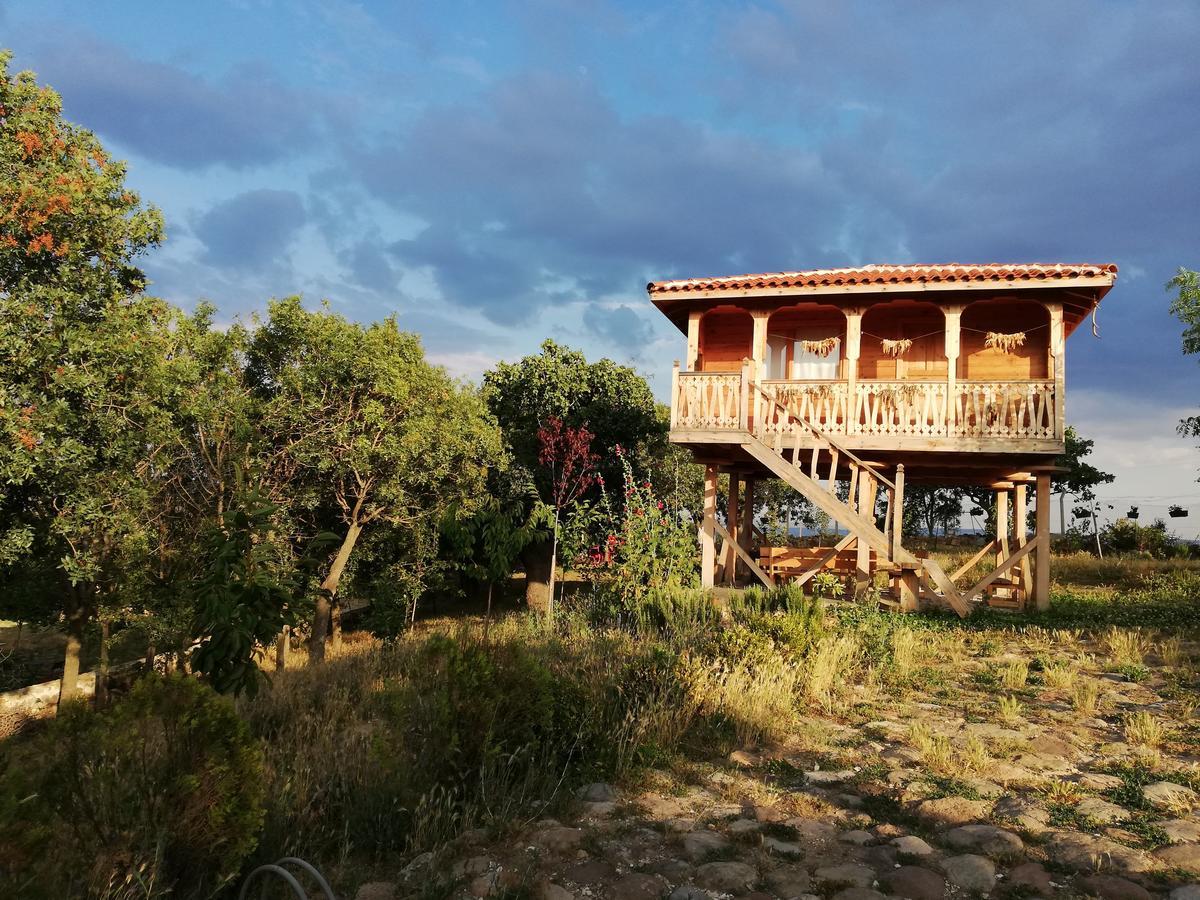 Hotel Yasayan Koy Kizilcasogut Exteriér fotografie